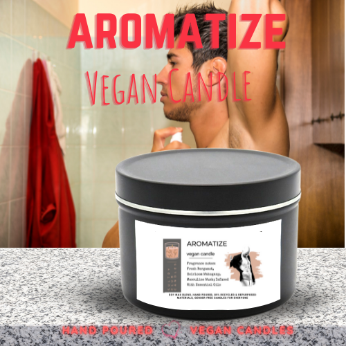 AROMATIZE 8 Oz Vegan Candle