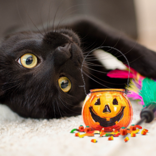 Halloweed Vegan Candle